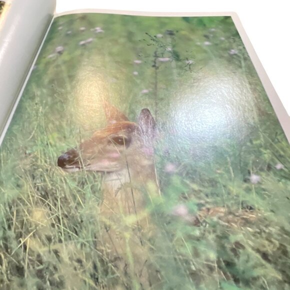 Audubon Nature Yearbook 1988 Hardcover Book - Picture 7 of 7